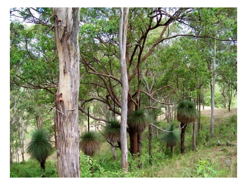 36 Chisholm Court, Kyogle NSW 2474