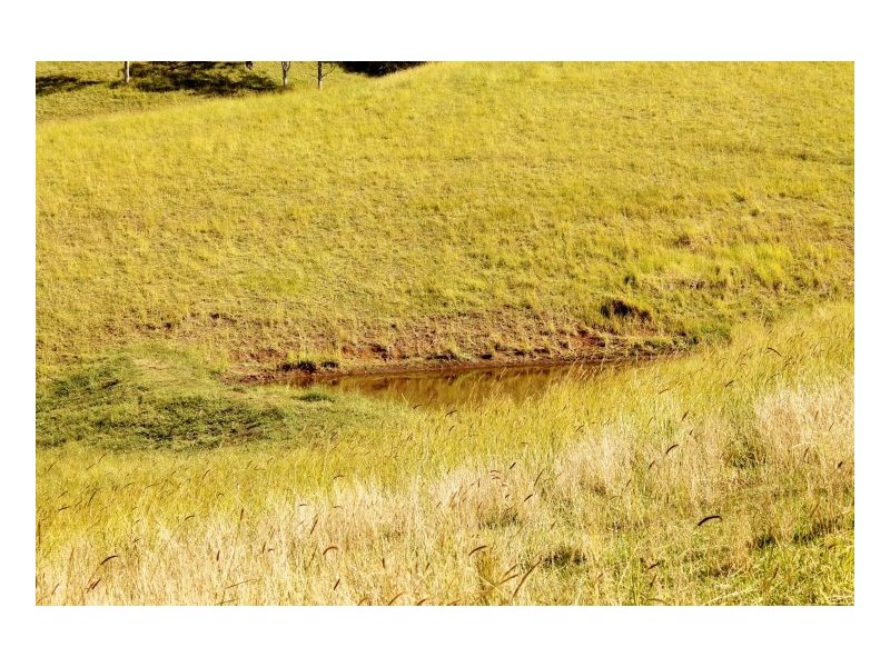 36 Chisholm Court, Kyogle NSW 2474