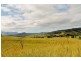 36 Chisholm Court, Kyogle NSW 2474
