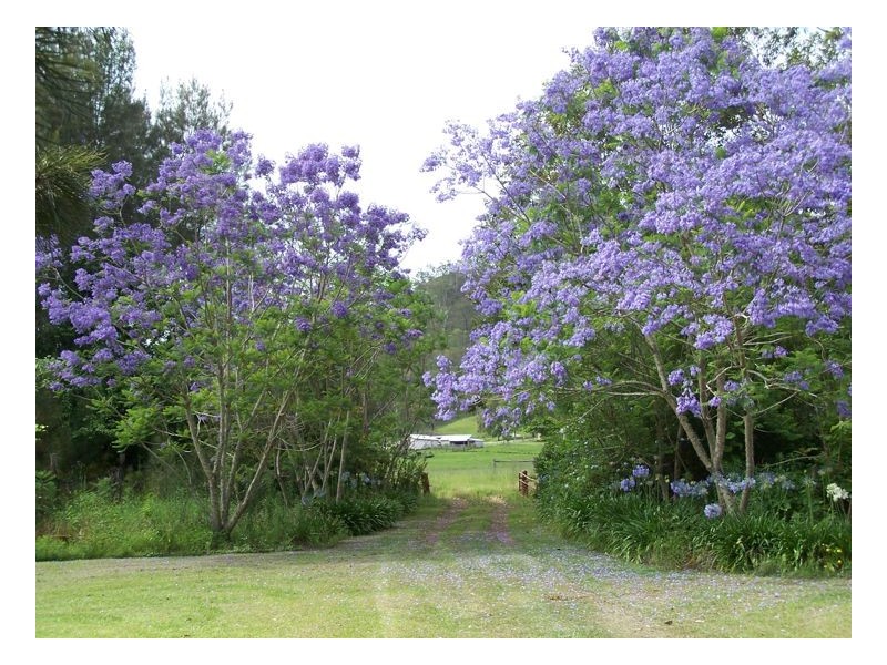 47. Findon Creek Road, Kyogle NSW 2474