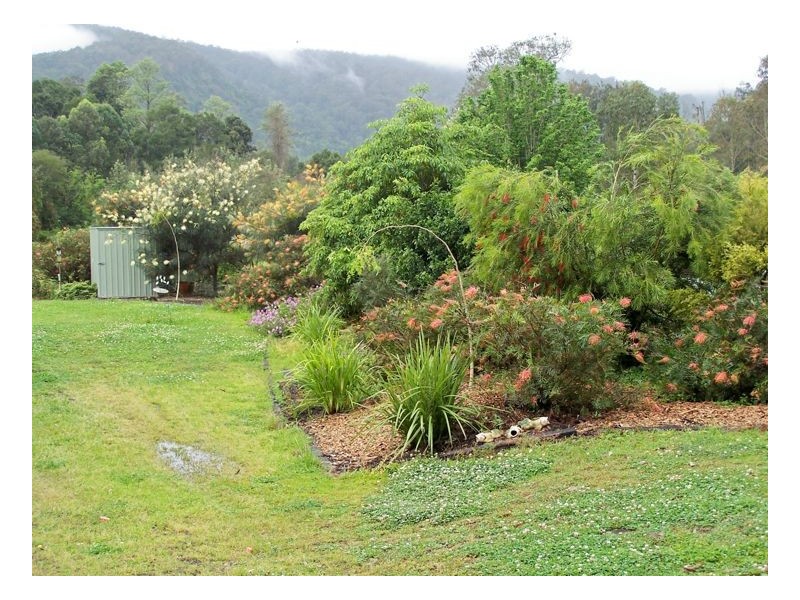 47. Findon Creek Road, Kyogle NSW 2474