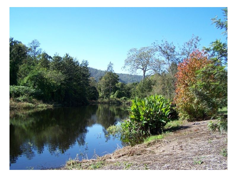 47. Findon Creek Road, Kyogle NSW 2474