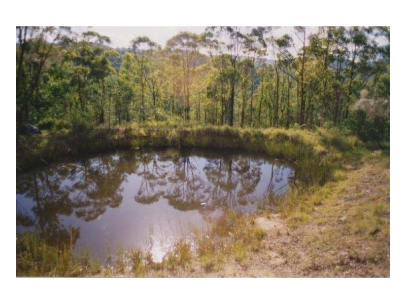 342 North Ewingar Road, Ewingar NSW 2469