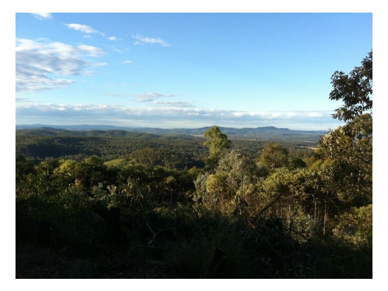 342 North Ewingar Road, Ewingar NSW 2469