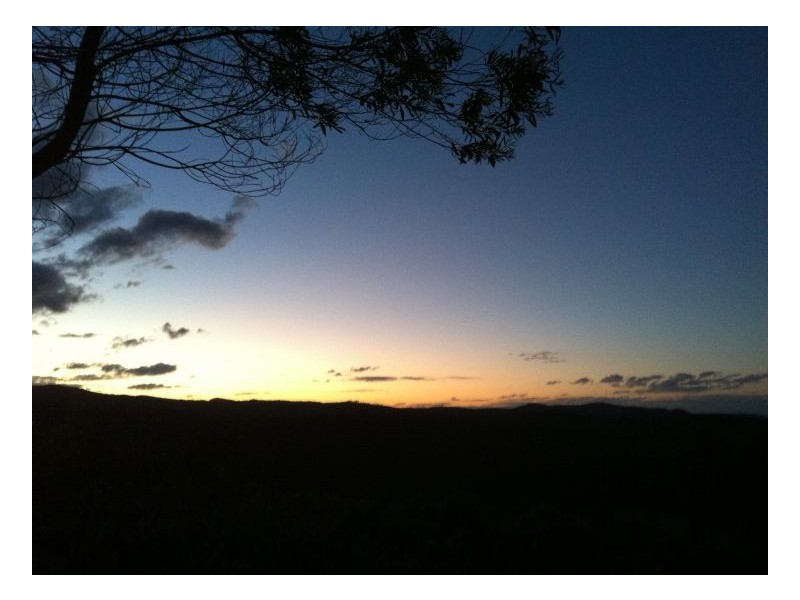 342 North Ewingar Road, Ewingar NSW 2469