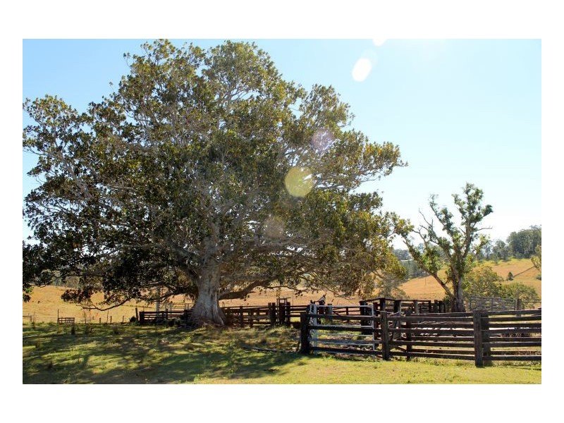 180 Runnymeade Road, Kyogle NSW 2474