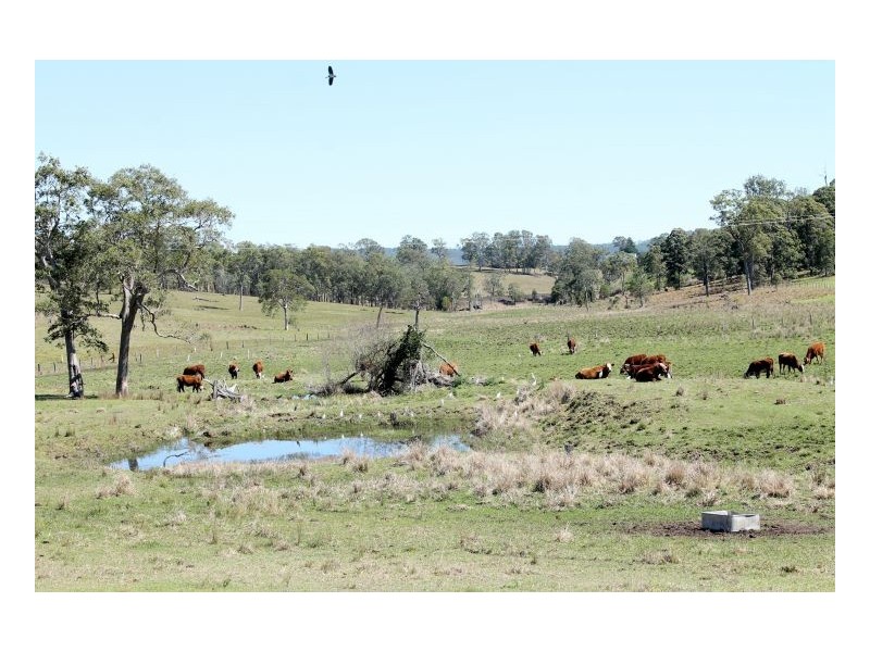 180 Runnymeade Road, Kyogle NSW 2474