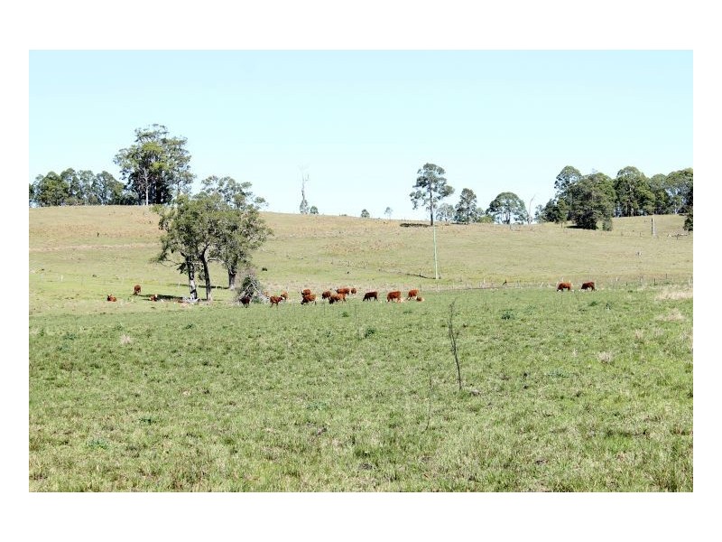 180 Runnymeade Road, Kyogle NSW 2474