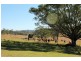 180 Runnymeade Road, Kyogle NSW 2474