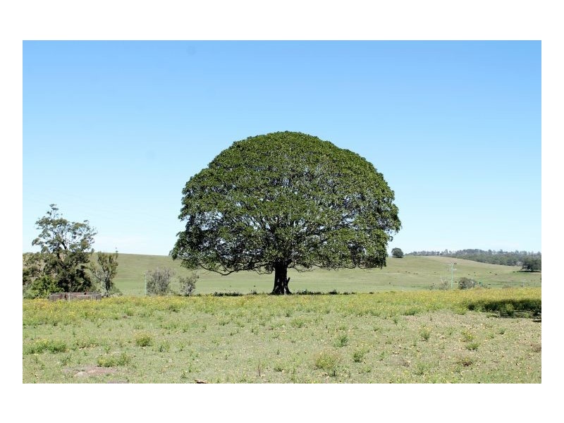 180 Runnymeade Road, Kyogle NSW 2474