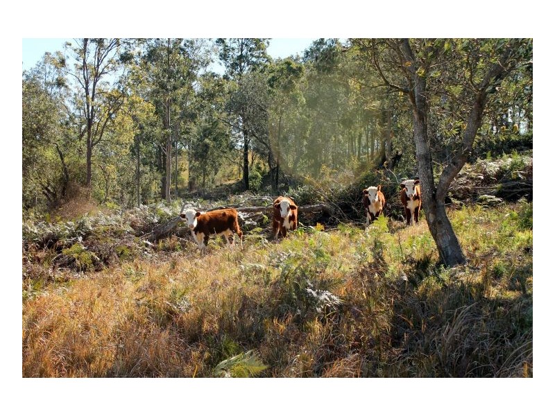 180 Runnymeade Road, Kyogle NSW 2474