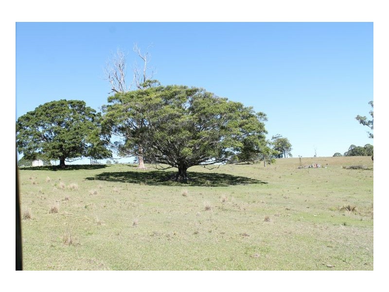 180 Runnymeade Road, Kyogle NSW 2474