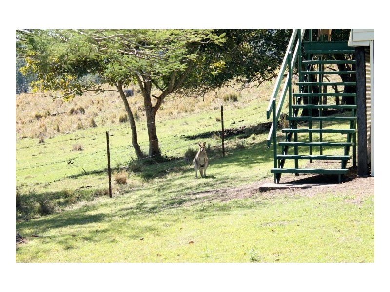 180 Runnymeade Road, Kyogle NSW 2474