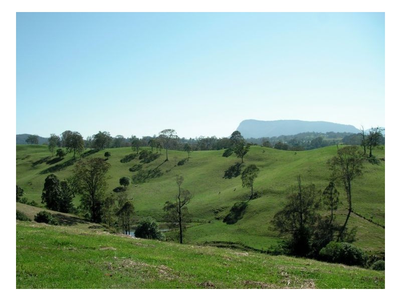 183 Williams Road, Kyogle NSW 2474