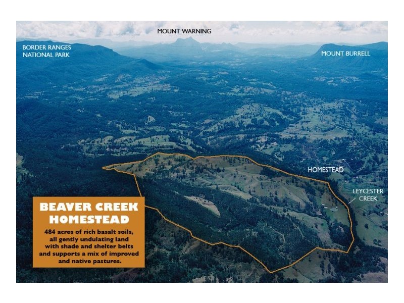 183 Williams Road, Kyogle NSW 2474