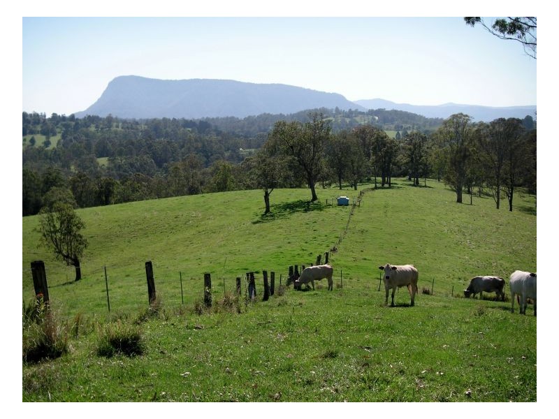 183 Williams Road, Kyogle NSW 2474