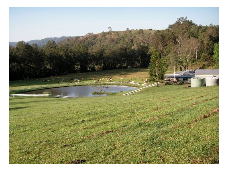 183 Williams Road, Kyogle NSW 2474