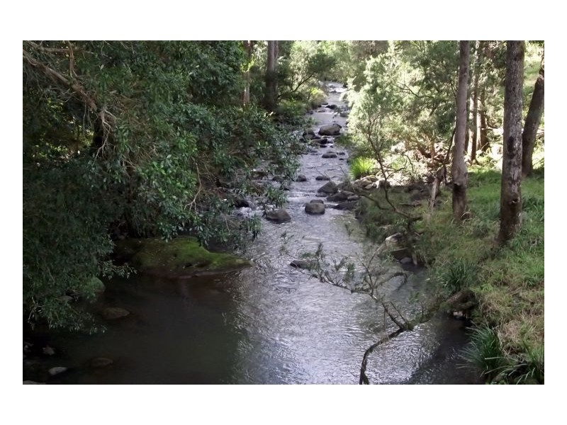 183 Williams Road, Kyogle NSW 2474