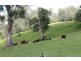 405 Findon Creek Road, Kyogle NSW 2474