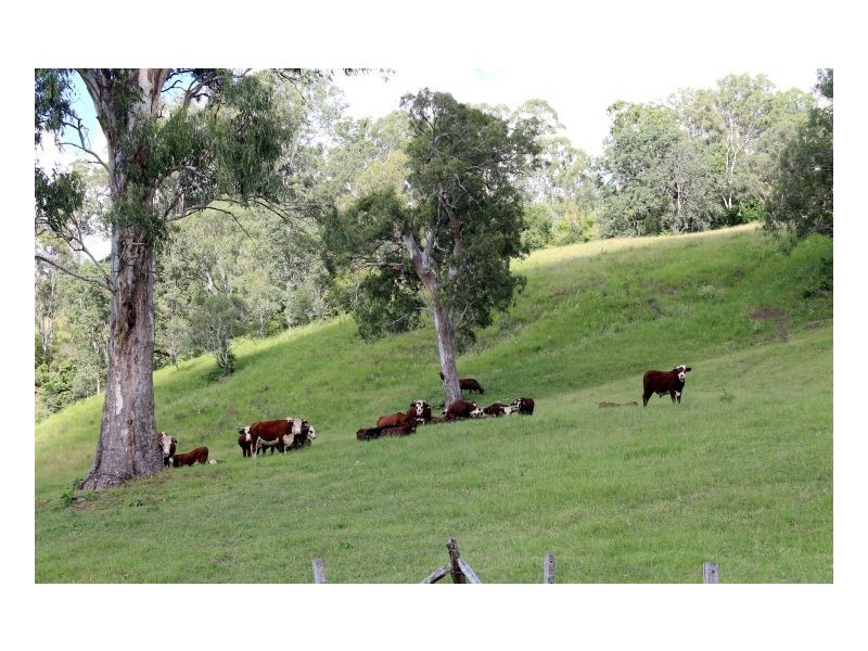 405 Findon Creek Road, Kyogle NSW 2474