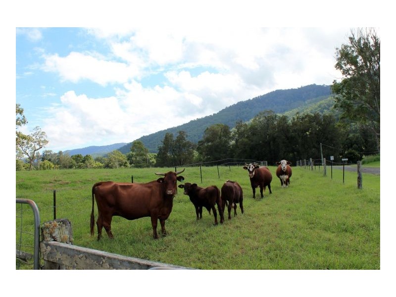 405 Findon Creek Road, Kyogle NSW 2474