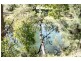 405 Findon Creek Road, Kyogle NSW 2474