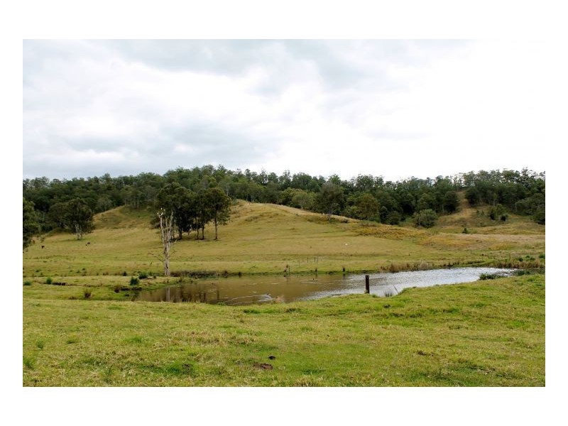 466 Dunns Road, Kyogle NSW 2474