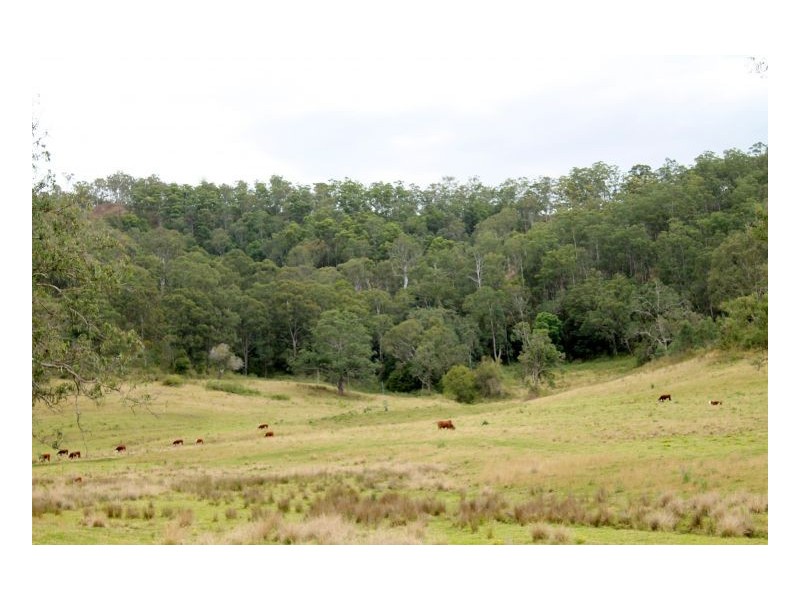 466 Dunns Road, Kyogle NSW 2474