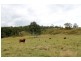 466 Dunns Road, Kyogle NSW 2474
