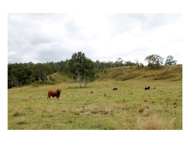 466 Dunns Road, Kyogle NSW 2474