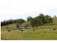 466 Dunns Road, Kyogle NSW 2474