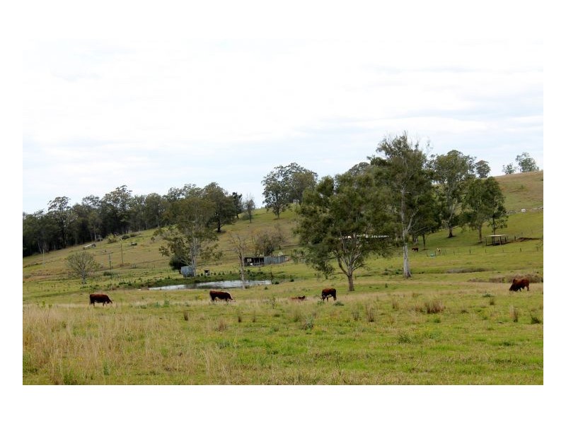466 Dunns Road, Kyogle NSW 2474