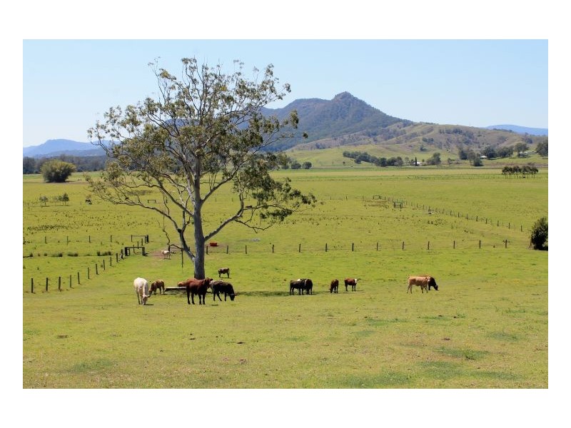 120 Homestead Road, Kyogle NSW 2474