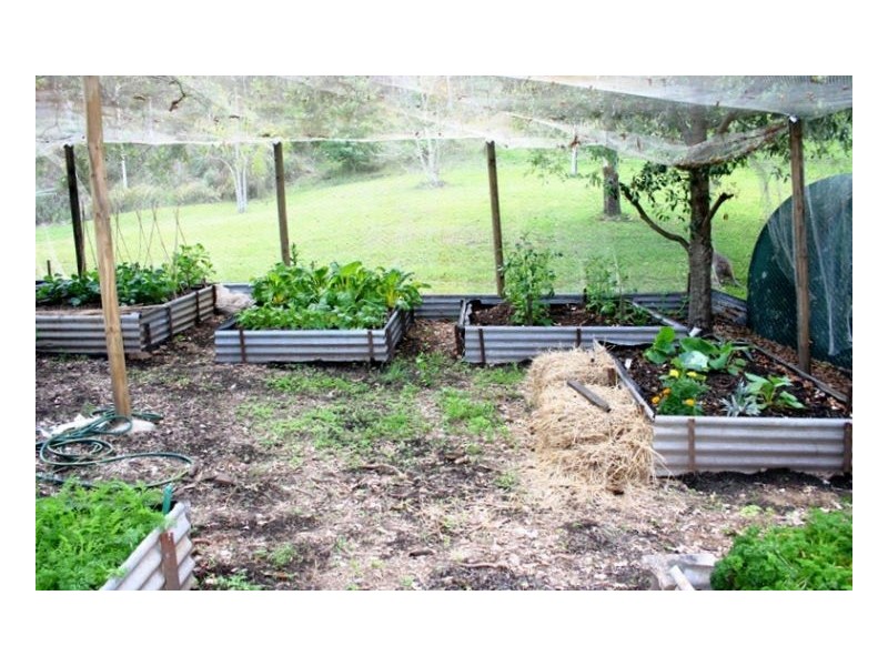 214 Blackhorse Creek Road, Kyogle NSW 2474