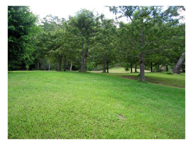 214 Blackhorse Creek Road, Kyogle NSW 2474