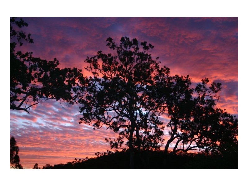 214 Blackhorse Creek Road, Kyogle NSW 2474