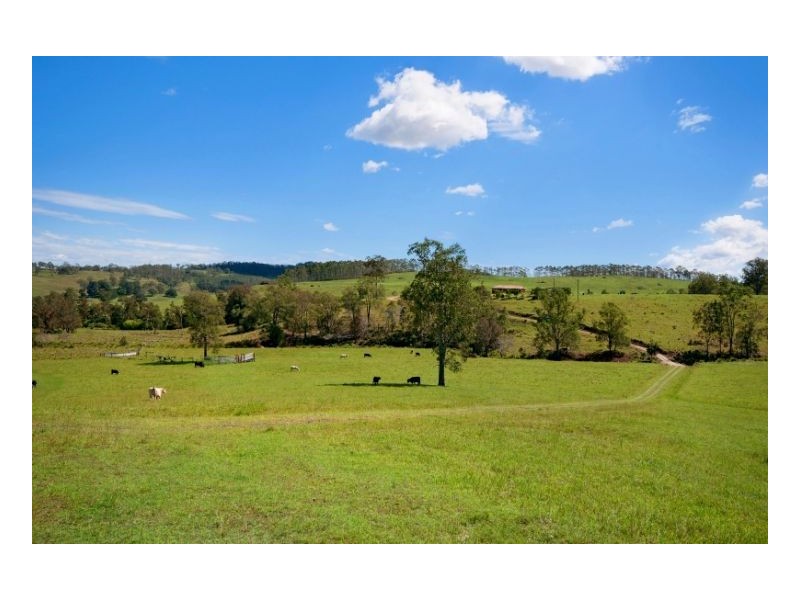 642 Ettrick Road, Kyogle NSW 2474