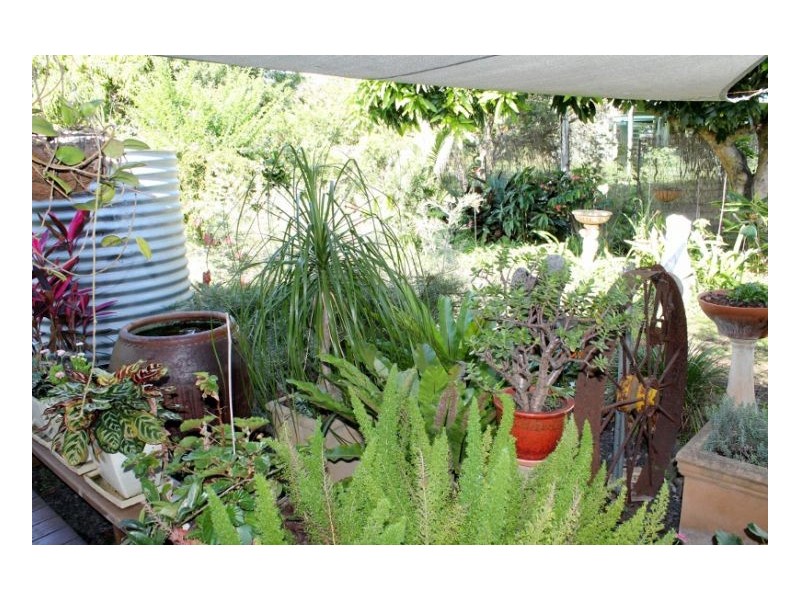 4 Worendo Street, Wiangaree, Kyogle NSW 2474