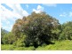 lot 14 Gradys Creek Road, Kyogle NSW 2474