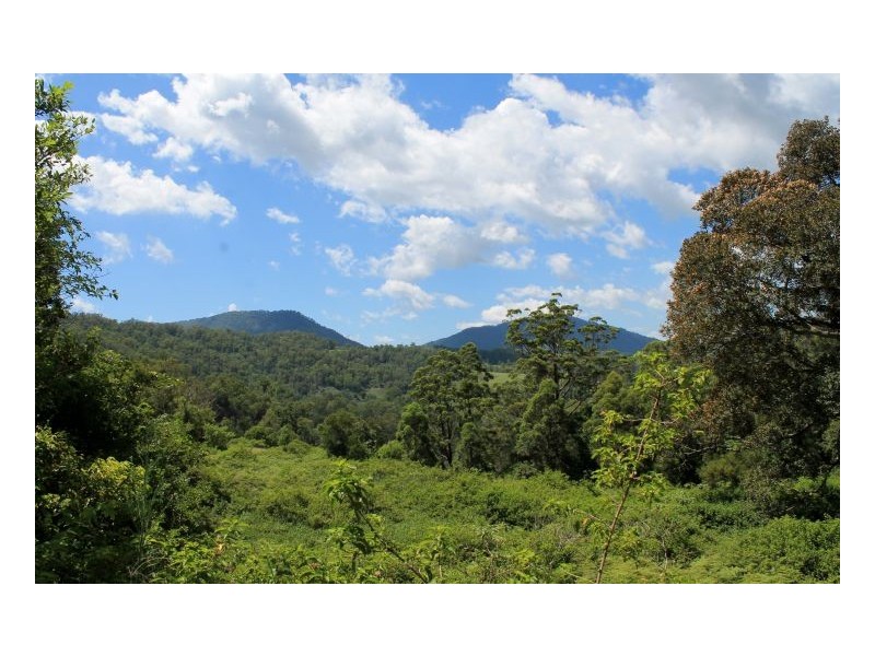 lot 14 Gradys Creek Road, Kyogle NSW 2474