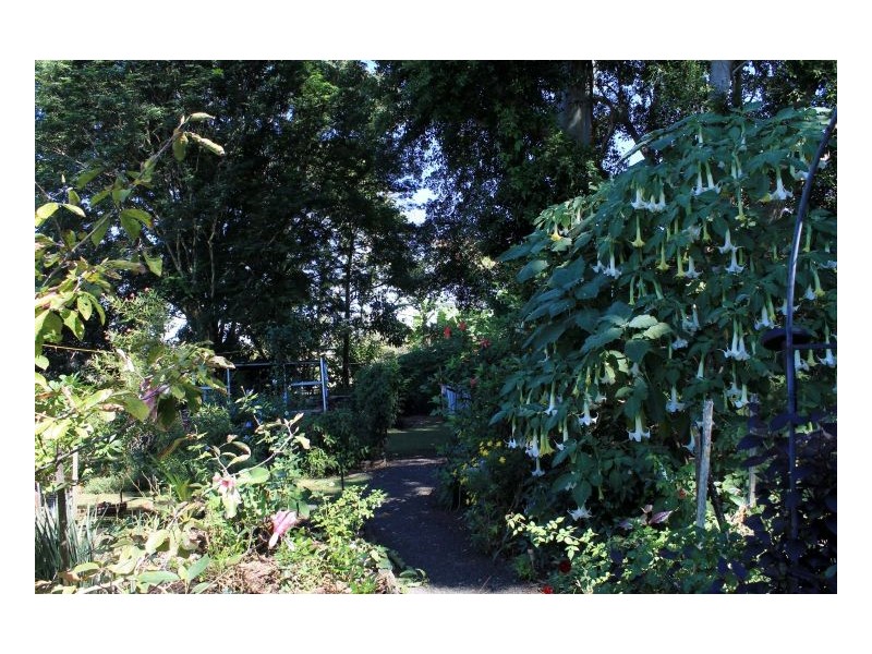 6 Eden Street Ettrick, Kyogle NSW 2474