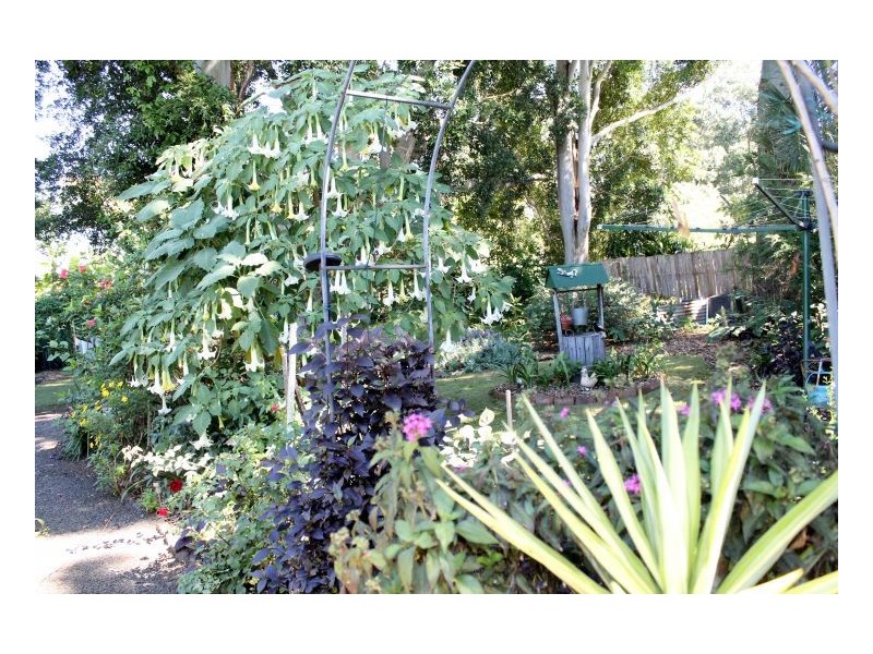 6 Eden Street Ettrick, Kyogle NSW 2474