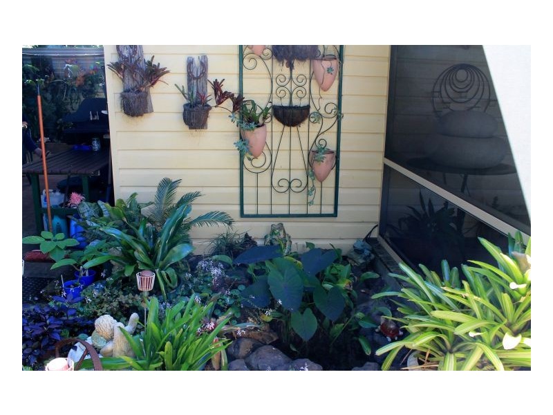 6 Eden Street Ettrick, Kyogle NSW 2474