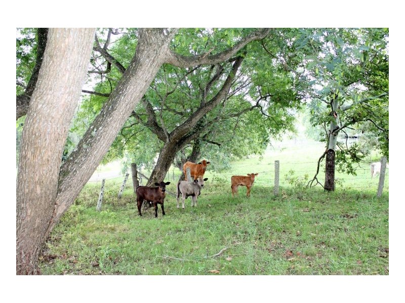 242 wyneden creek road, Kyogle NSW 2474