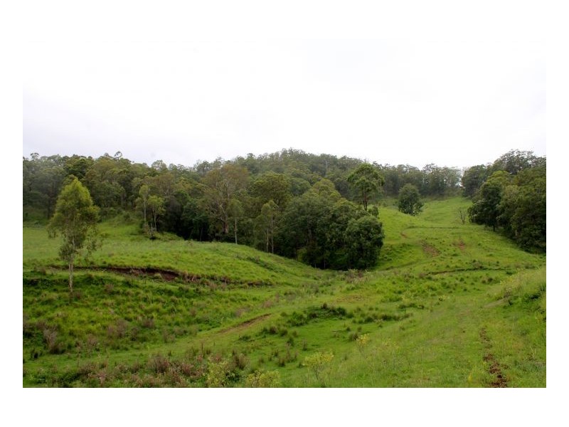 242 wyneden creek road, Kyogle NSW 2474