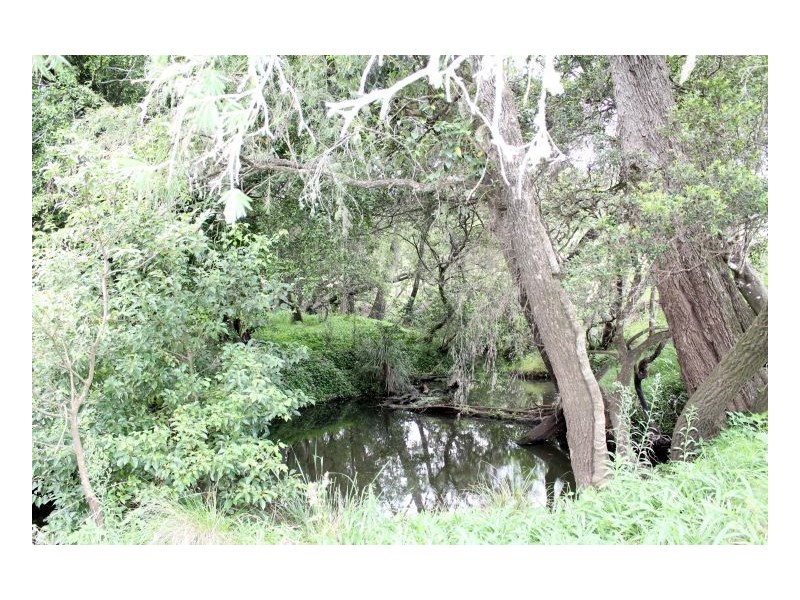 242 wyneden creek road, Kyogle NSW 2474