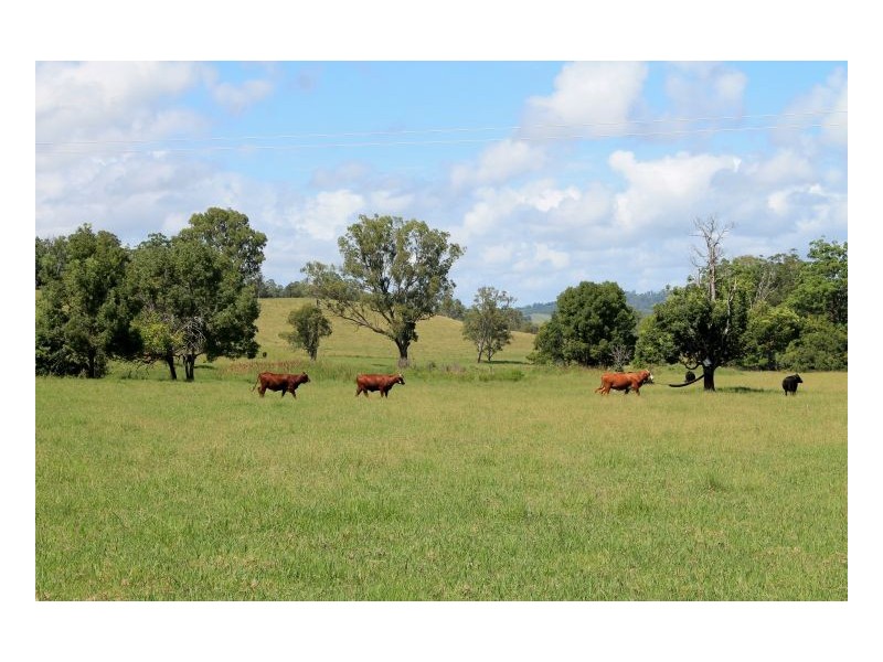 1586 Collins Creek Road, Kyogle NSW 2474