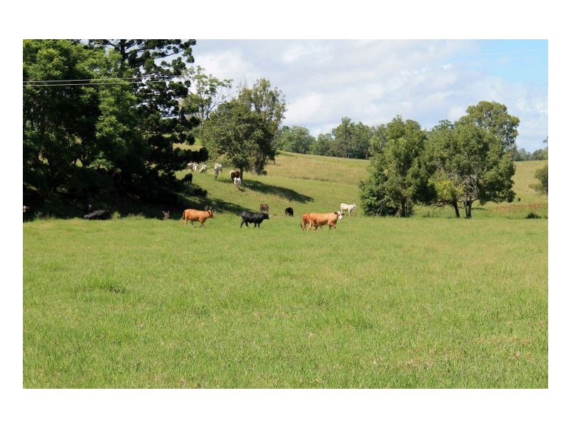 1586 Collins Creek Road, Kyogle NSW 2474