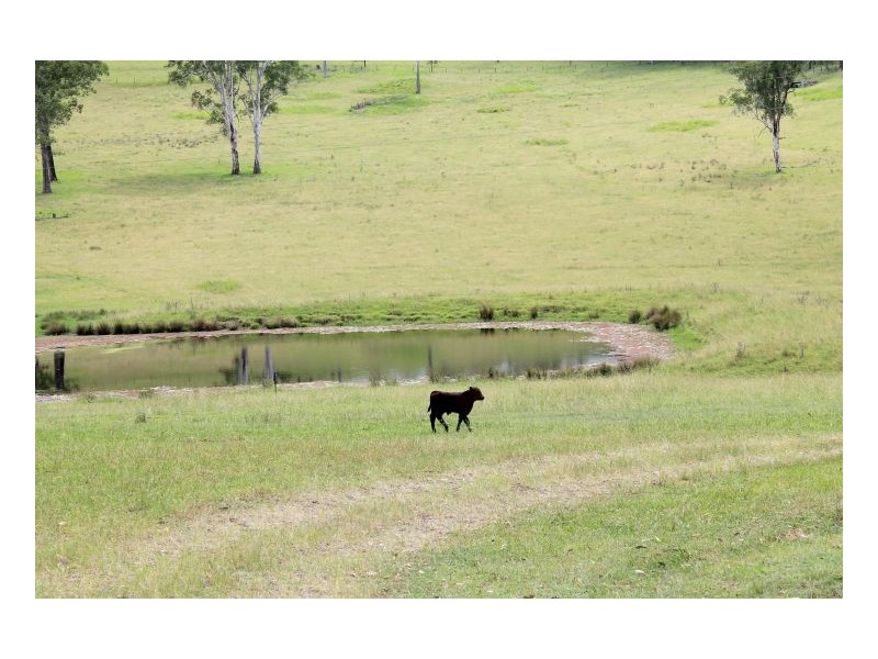 77 Sandilands Street, Bonalbo NSW 2469