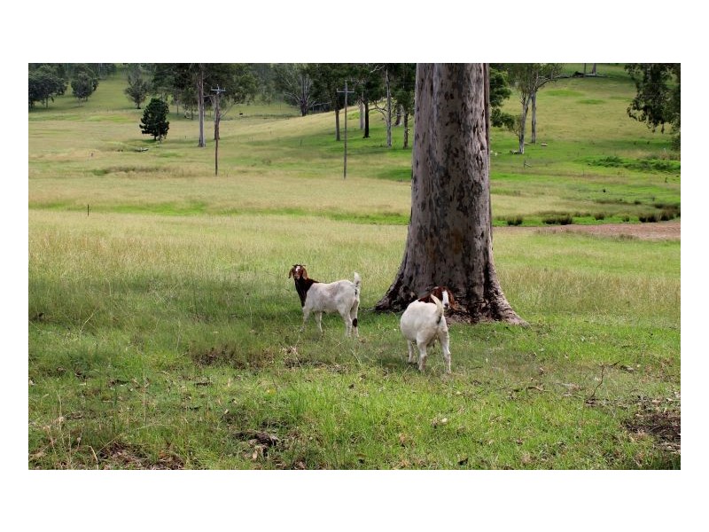 77 Sandilands Street, Bonalbo NSW 2469